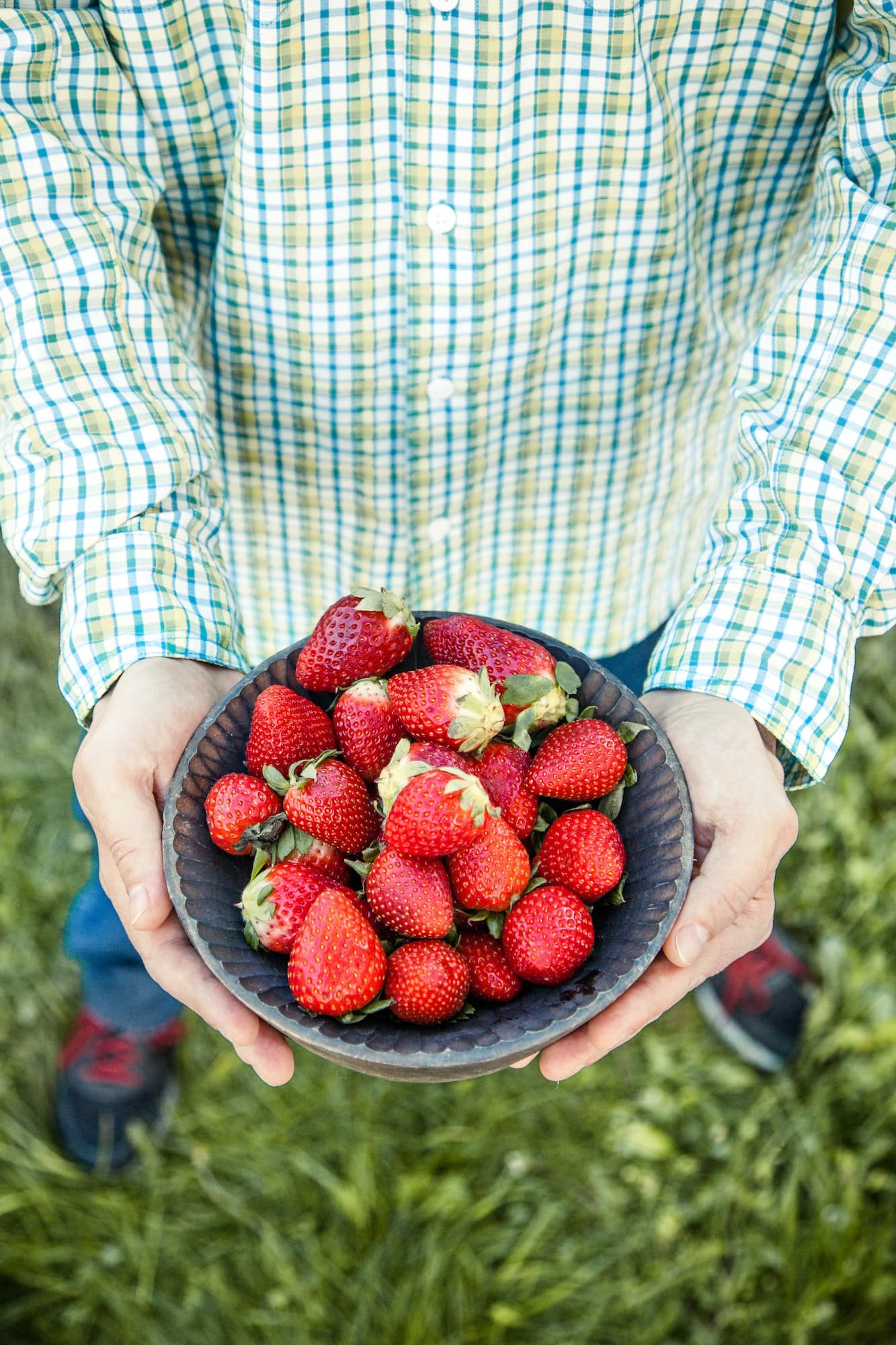 Tunnelmia mansikkapellolta